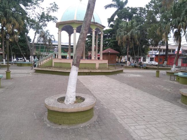 Tela Parque Central