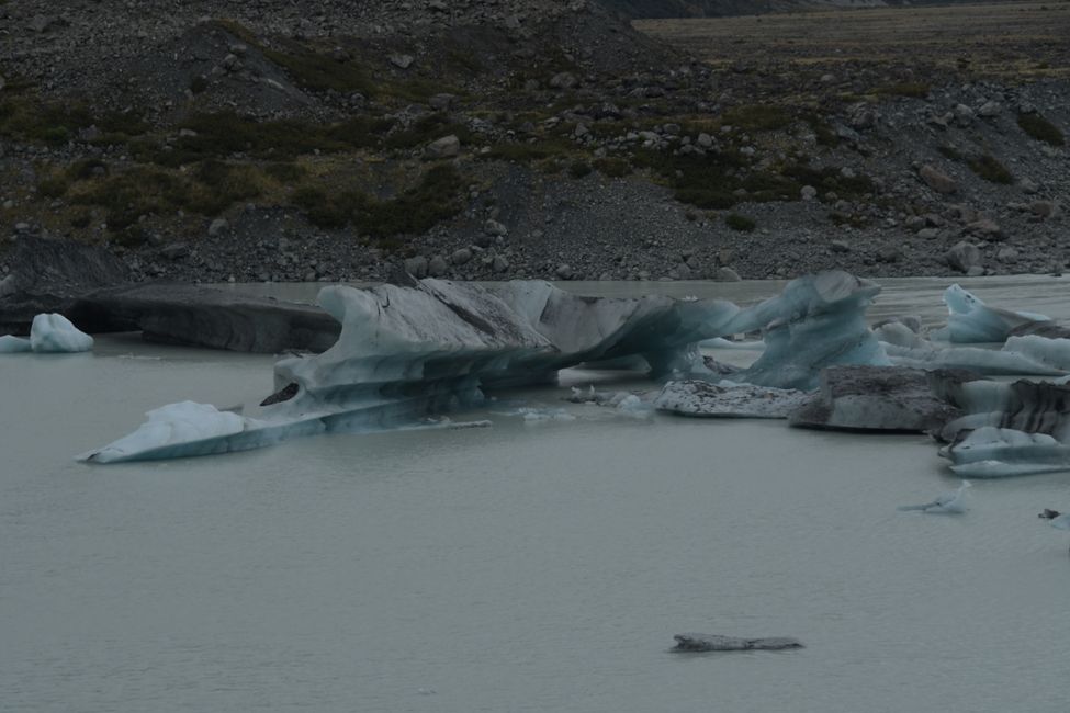 Icebergs in the Tasman Glacier Lake