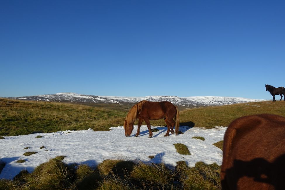 Northern lights and super beautiful weather