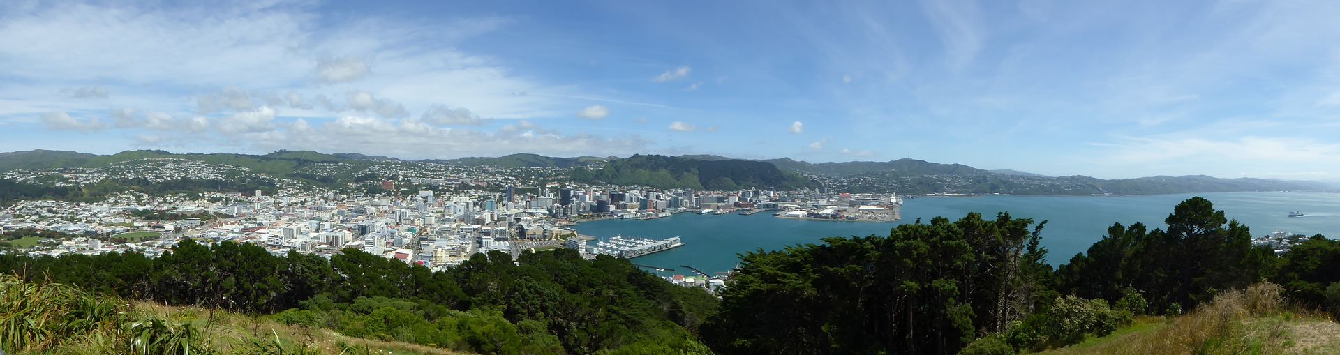 View from Mount Victoria on Wellington