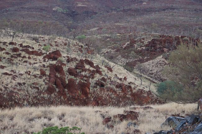 imágenes de von Port Hedland a Tom Price