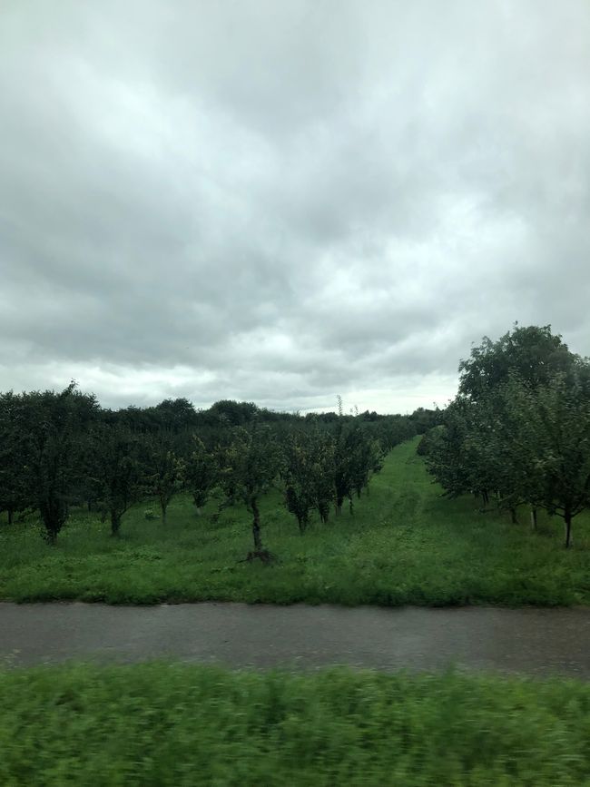 Ortenau - largest fruit-growing region in BW