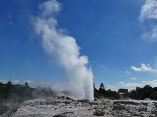 Rotorua - Geothermical Wonders
