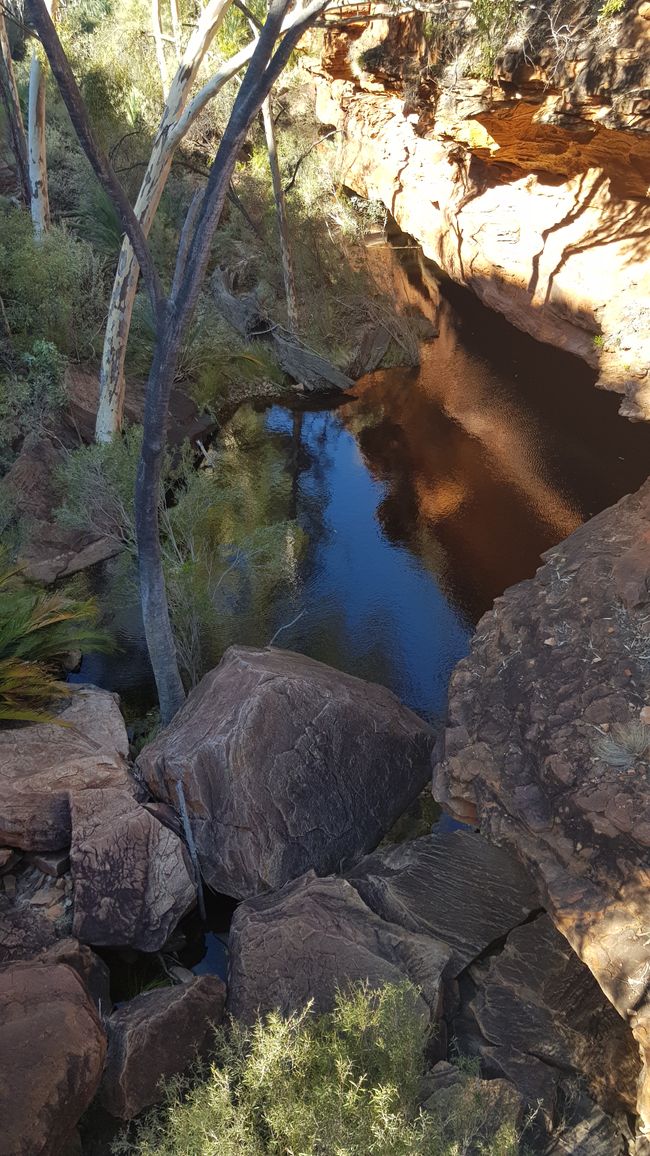 pool in Alice Springs