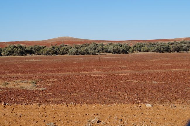 Beautiful red soil, without kangaroos
