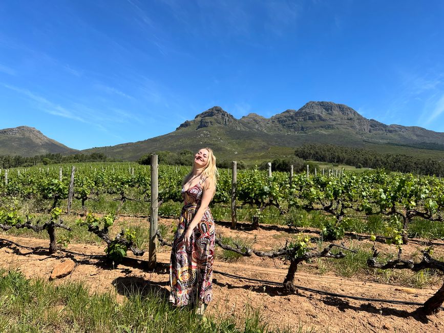 Stellenbosch 