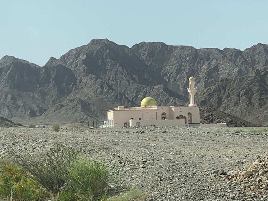 Blog 3 - from Muscat to Sohar