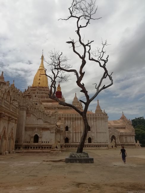 Magical Bagan