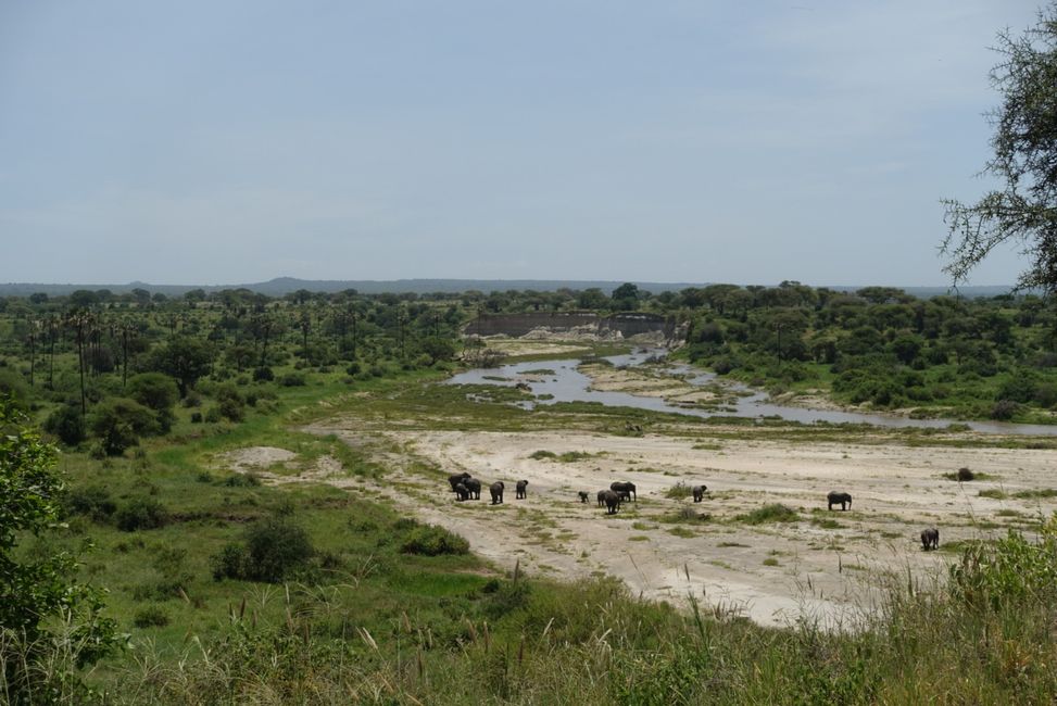 Tarangire Nationalpark