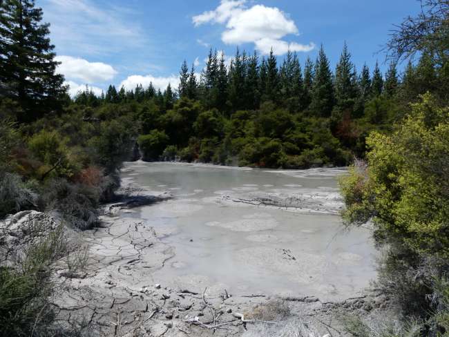 Large mudpool in the Wai-o-Tapu region