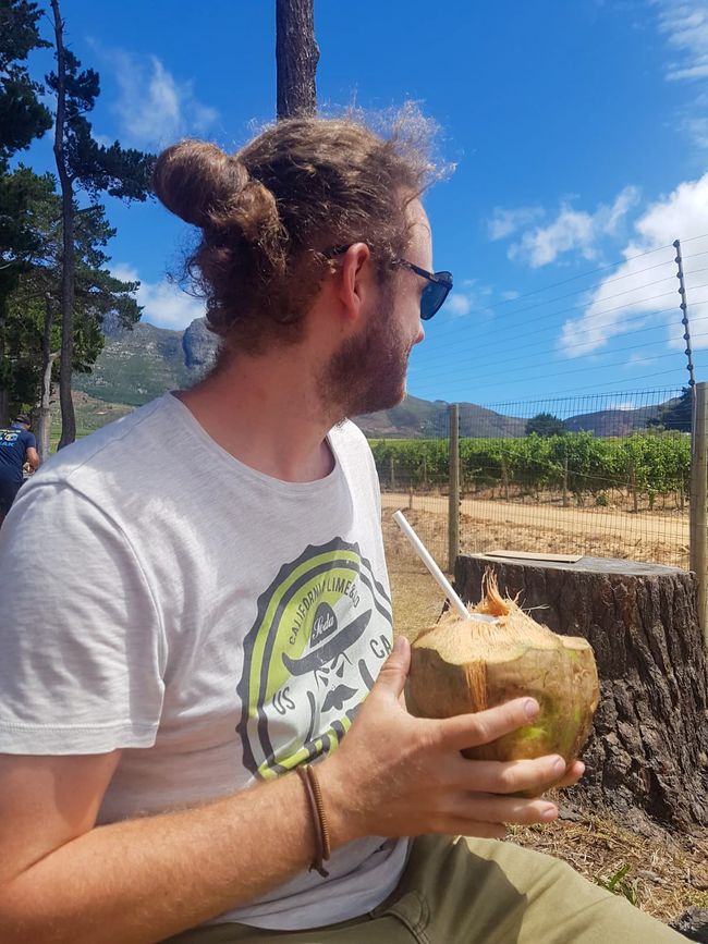 Coconuts and vineyards - only in South Africa