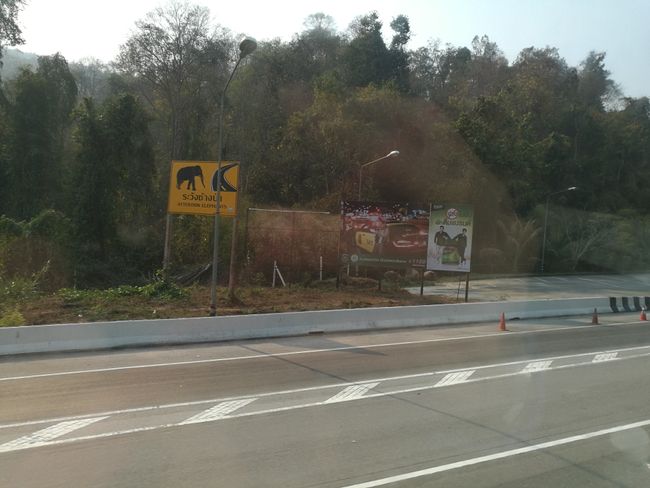 Caution, elephants may cross the road!