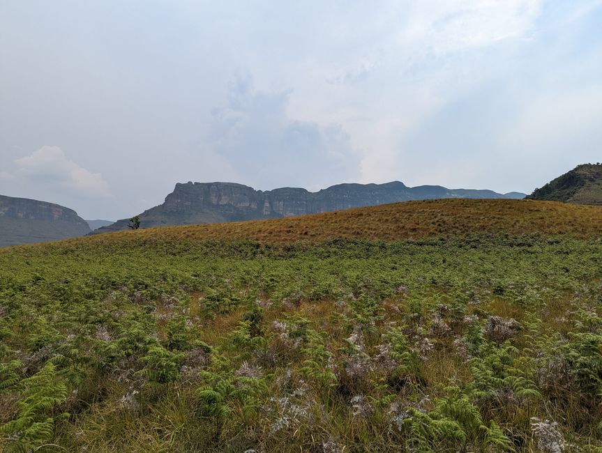 Royal Natal Drakensberg Park