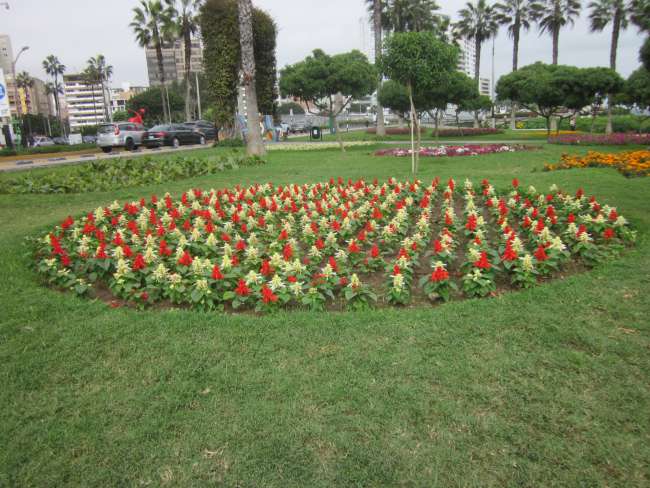 Kurzbesuch in Lima