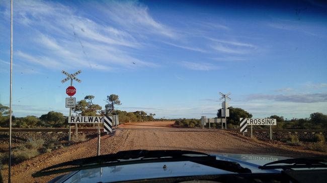 Erste Eindrücke vom Outback