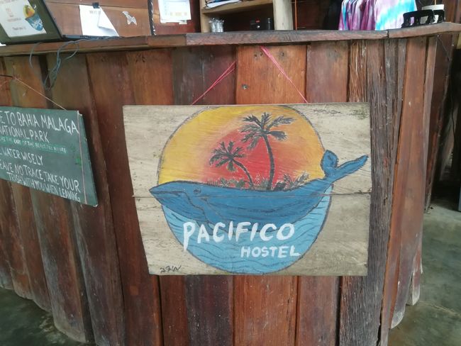 Pacifico Hostel
