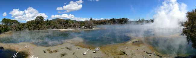 Steaming lake in Rotorua