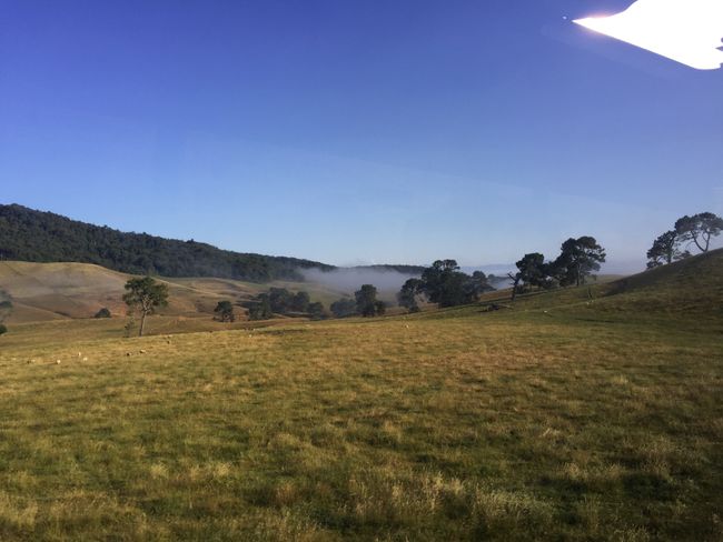 Family time Part 2 and the North Island of New Zealand