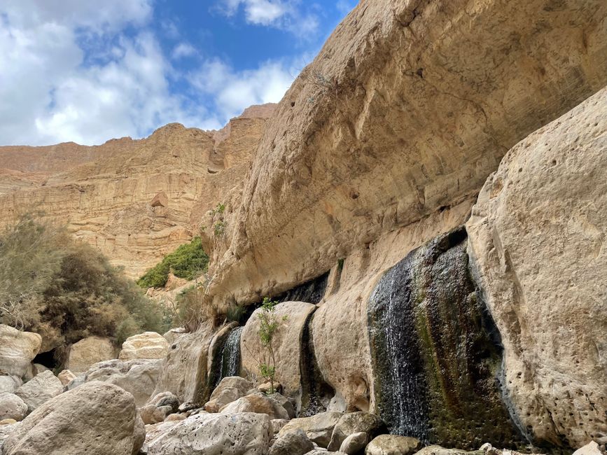 Eine der zahlreichen natürlichen Quellen im Wadi Arugot