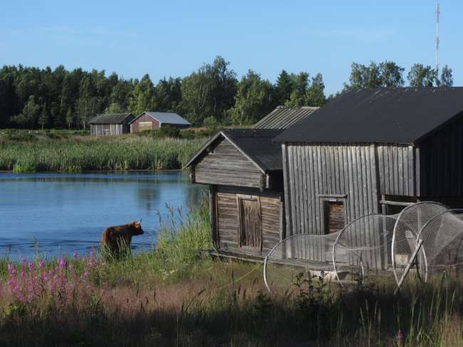 Kvarken Archipelago - das finnische Paradies