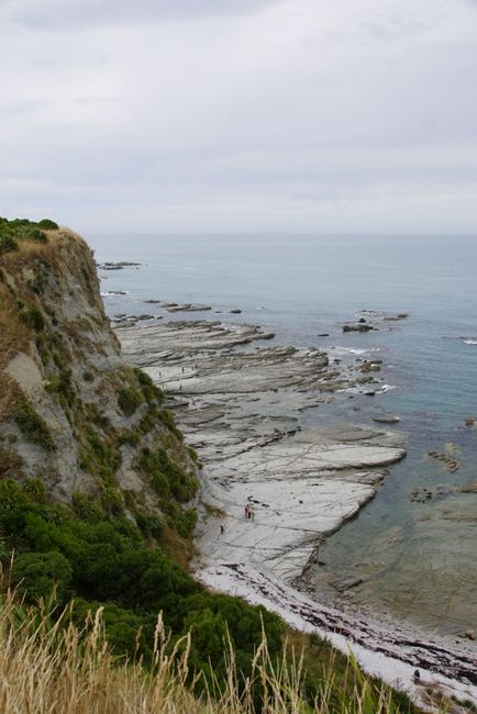 Kaikoura Peninsula Walkway