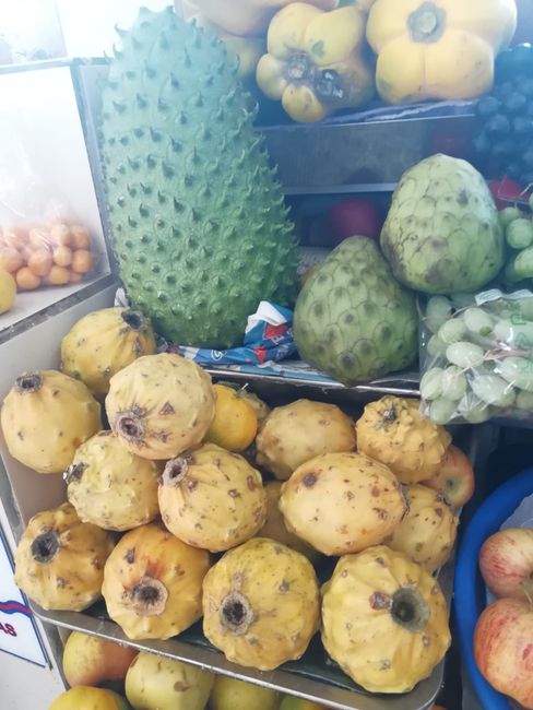 Typische ecuadorianische Früchte: Cherimoya, Guanábana und Pitahaya. 