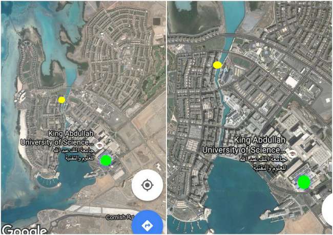 Karte vom Unigelände. Beim gelben Punkt wohnen wir, beim grünen ist das RSRC (Red Sea Research Center)