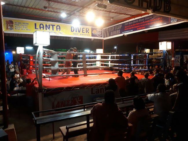 Muay Thai Fight Arena