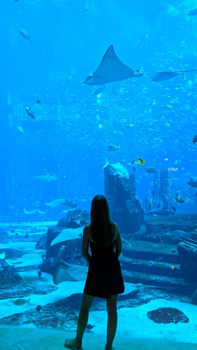 Atlantis Aquarium