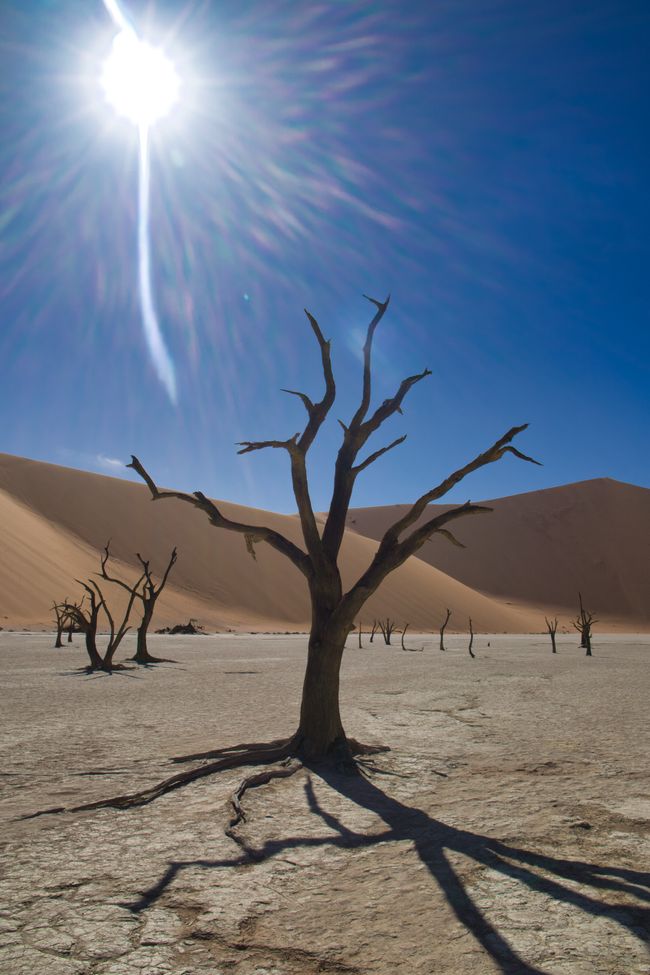 Dead Vlei