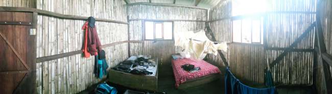 My room in the jungle
