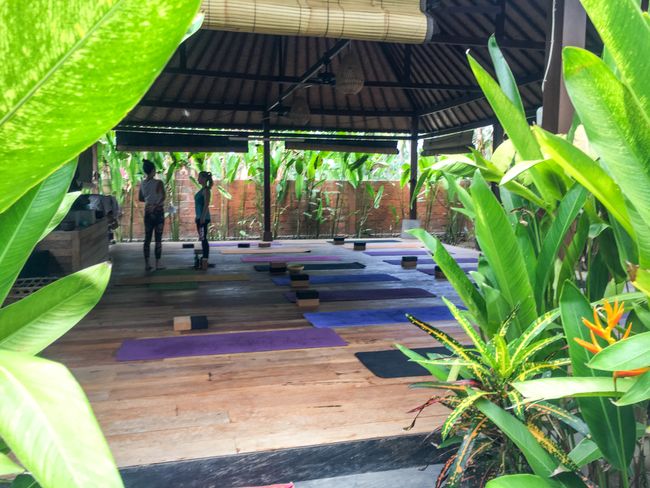 Shala @ Yoga Bliss - our spot for a week