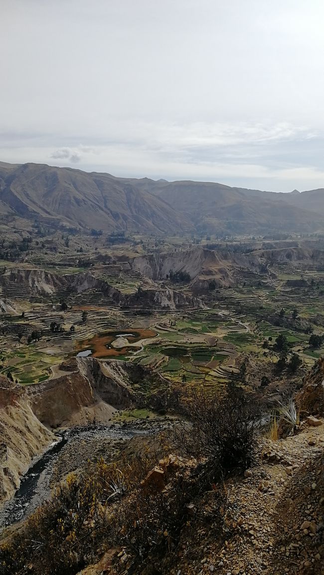Arequipa lan Colca Canyon - Peru