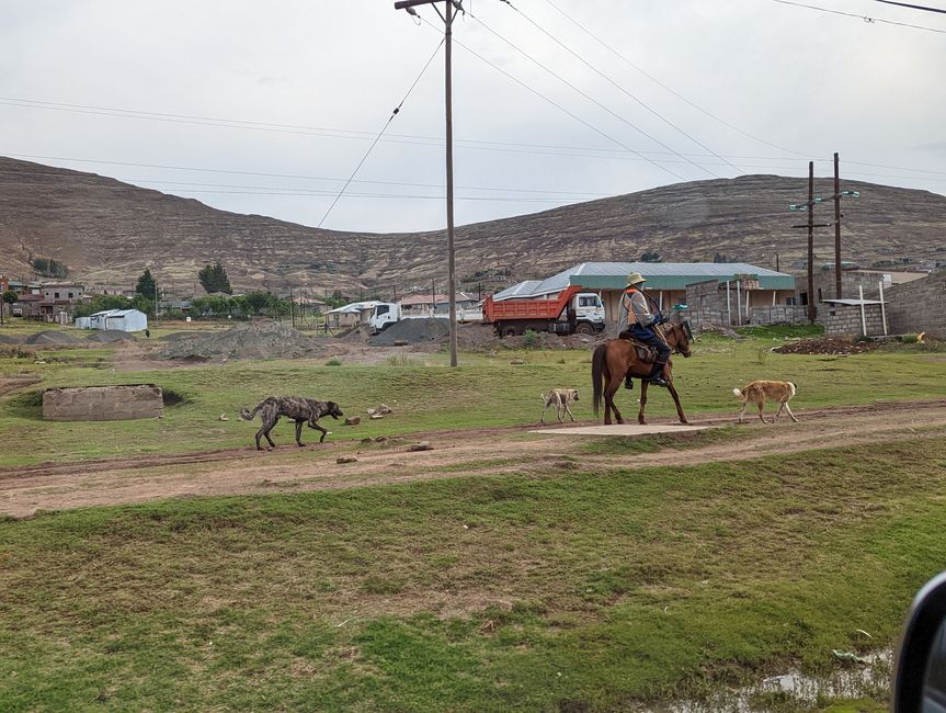 Sani Pass Tour, Lesotho