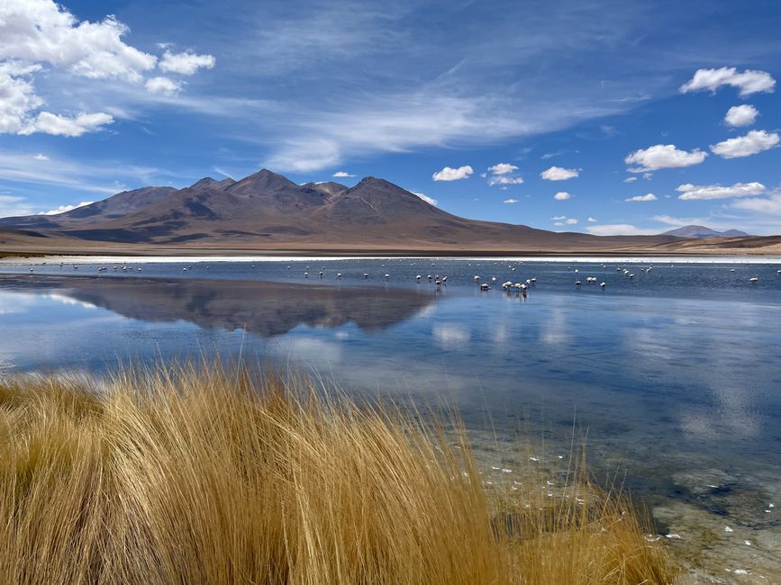 Laguna Cañape