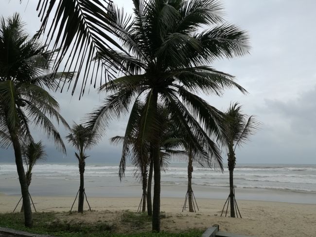 Da Nang, City & Beach