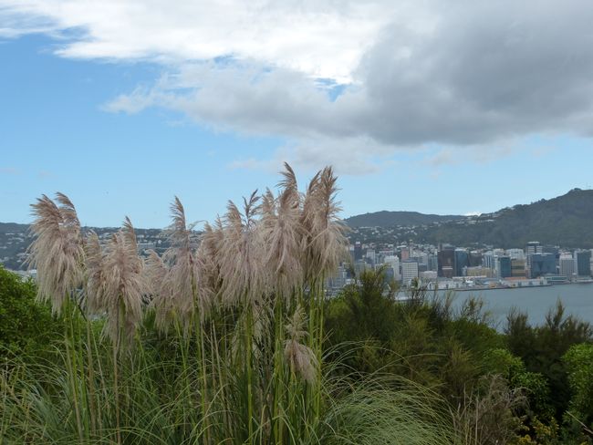 15. Tag in der Hauptstadt Wellington