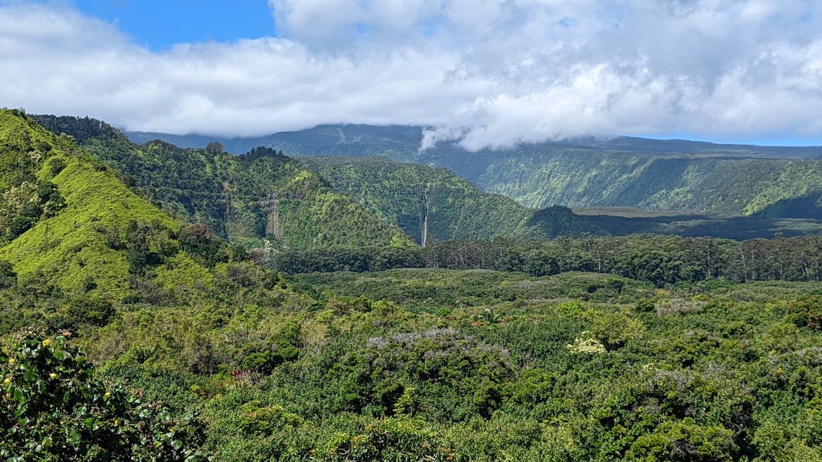 Wailua Valley State Wayside Lookout