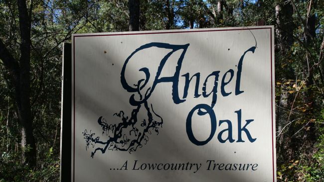 Charleston - Angel Oak