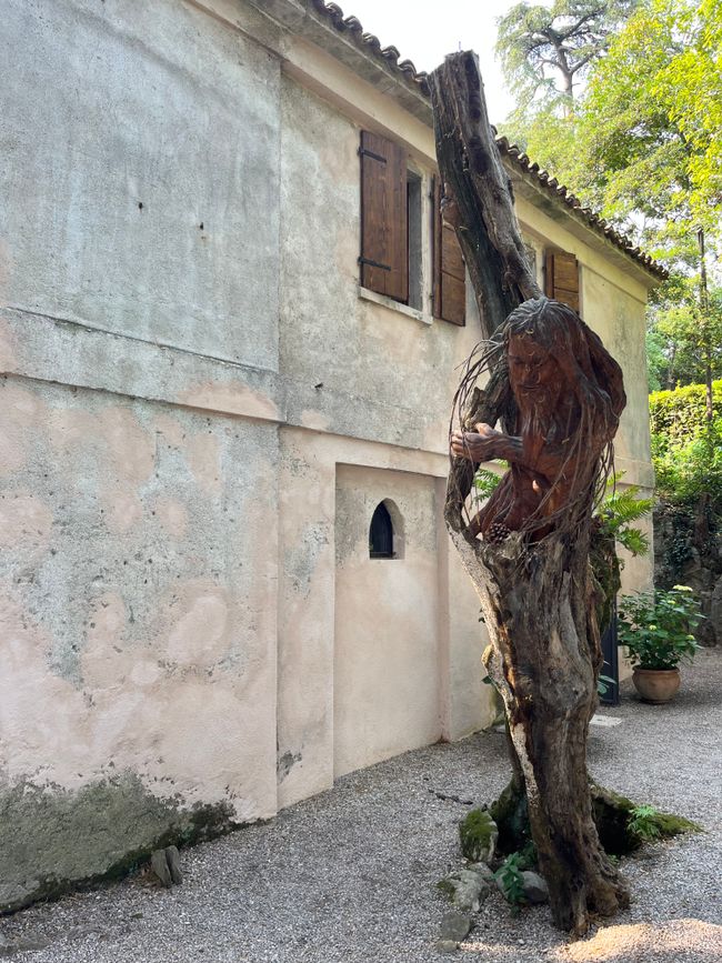 Ältester Olivenbaum auf der Insel 