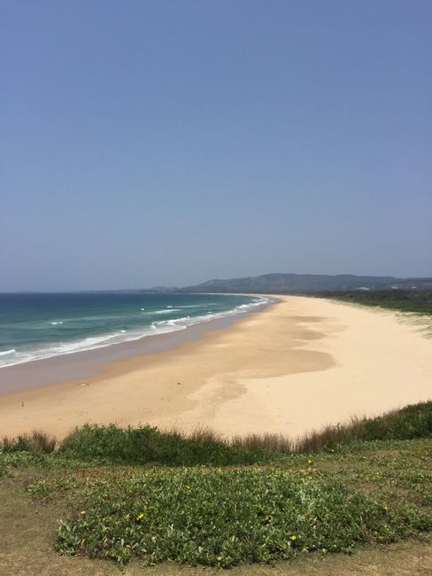Chapter 4: Sydney, New Year's Eve, and Family Time