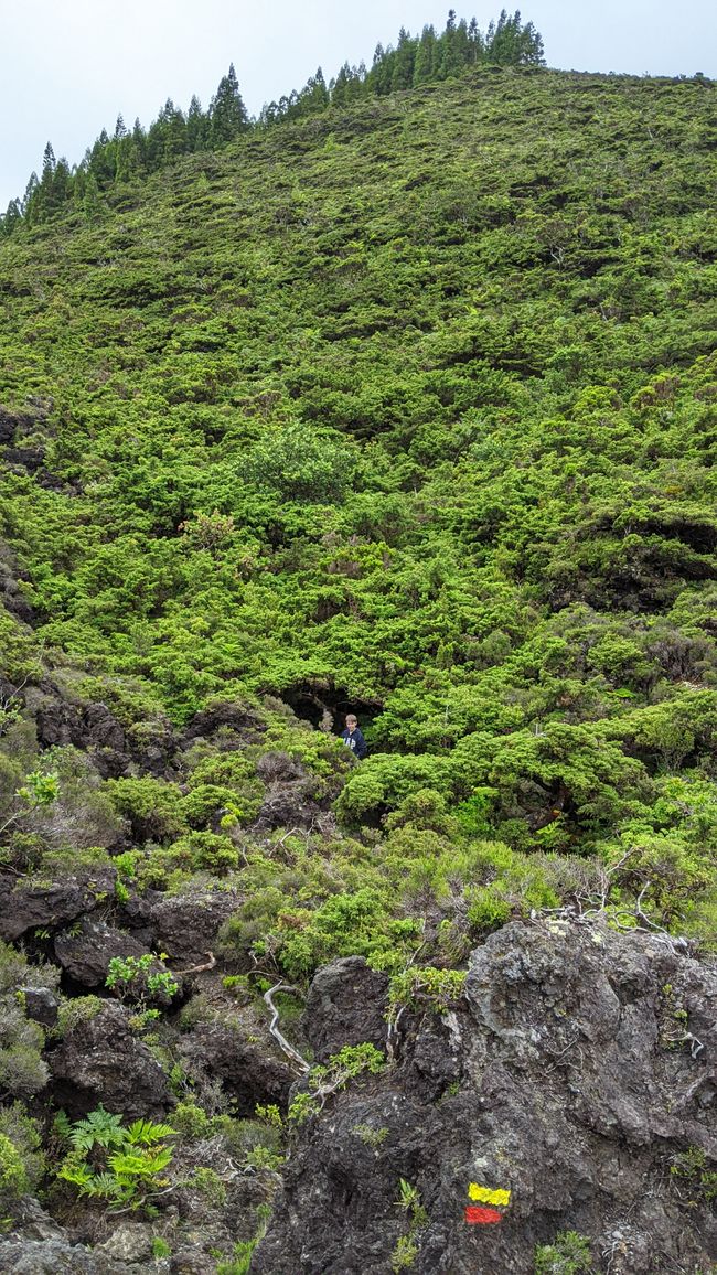 Day 6: Hiking & Swimming in Terceira