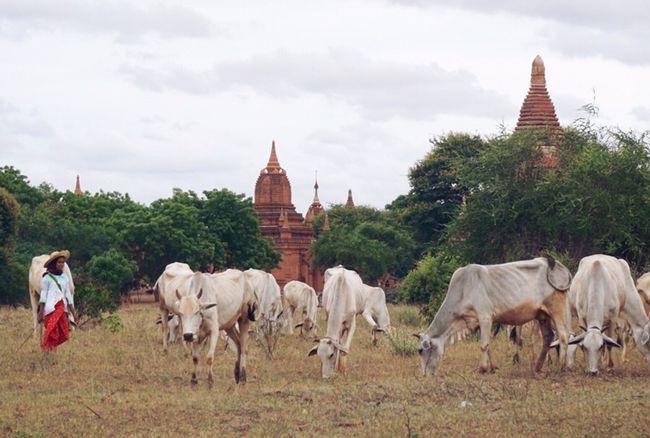 MYANMAR- eine andere Welt