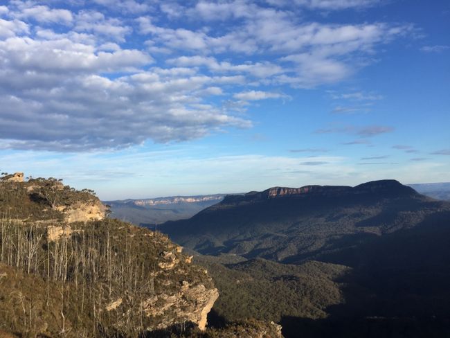 Blue Mountains, Manly