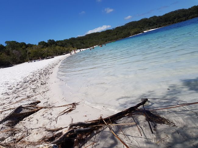 Fraser Island: On the largest sand island in the world