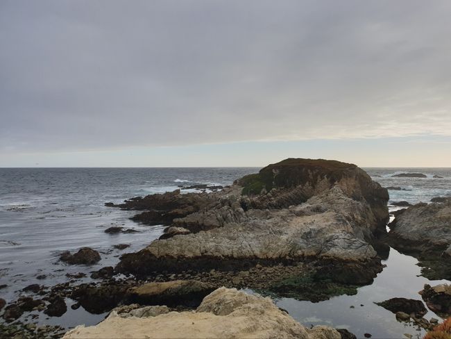 Daawashada Whale ee Monterey & 17-Mile-Drive