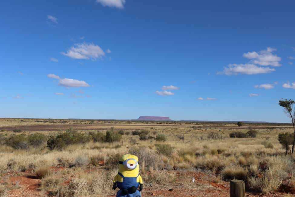 Stuart at Mt Connor 