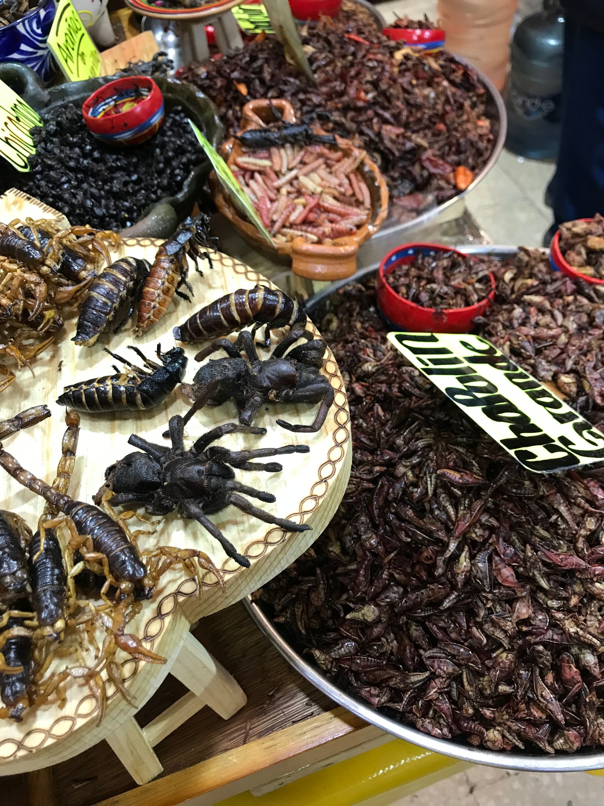 Fried insects at the market
