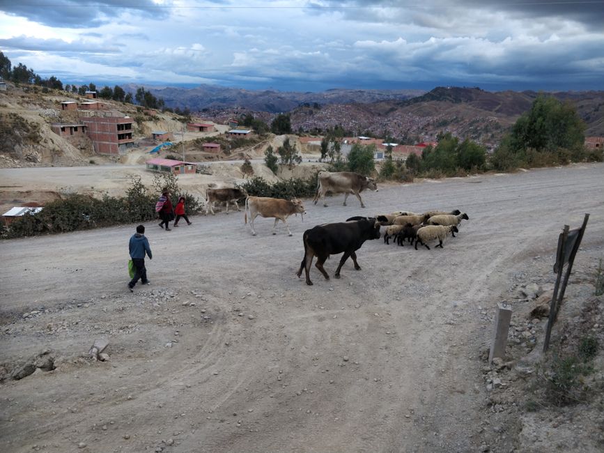 Alltägliches Bild in den Dörfern Perus