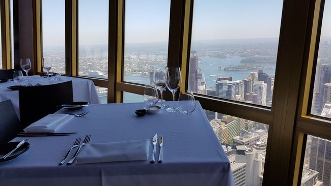 Blick aus dem Sydney Tower